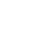 Globe Icon